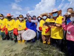 Pemkab Talaud Gelar Ritual Adat Mane’e