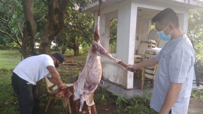 Hotel Sintesa Peninsula Manado Salurkan 2 Ekor Hewan Kurban ke Panti Asuhan Assalaam