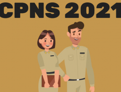 476 Peserta Lolos Seleksi Berkas CPNS di Talaud