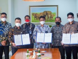 Sinergi Tiga BUMN Ini Amankan Pasokan Batu Bara untuk Ketahanan Ketenagalistrikan Nasional