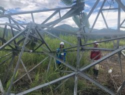PLN Gerak Cepat Atasi Gangguan Transmisi Section Poso-Sidera
