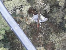 Tim SAR Temukan Black Box Pesawat Rimbun Air