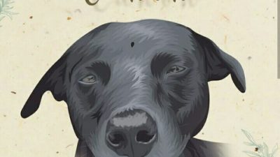 Soal Kematian Anjing Canon, Aktivis Desak Gubernur Aceh Berikan Sanksi bagi Pelaku