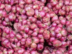 Harga Bawang Merah Melambung, Nilam Pilih Setop Usaha Rumah Makan
