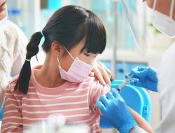 Seluruh Provinsi Dapat Vaksin Kanker Serviks Gratis Tahun 2023
