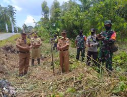 Kecamatan Esang dan Koramil Lakukan Penghijauan