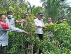 DKPP Talaud Genjot Kegiatan P2L