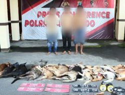 Tiga Pelaku Doger Anjing Ditangkap di Perkamil