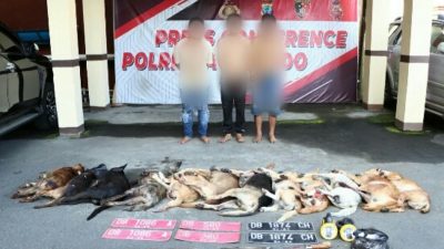 Tiga Pelaku Doger Anjing Ditangkap di Perkamil