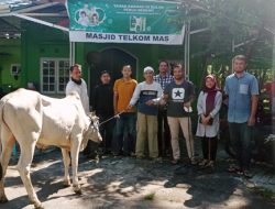 DAW Salurkan 1 Sapi Kurban ke Masjid Telkom Mas