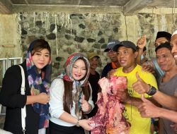 DPW Garnita Malahayati Nasdem Sulut Serahkan 1 Sapi Kurban ke Masjid Baitul Istighfar