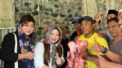 DPW Garnita Malahayati Nasdem Sulut Serahkan 1 Sapi Kurban ke Masjid Baitul Istighfar
