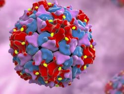 Gawat, New York Darurat Virus Polio