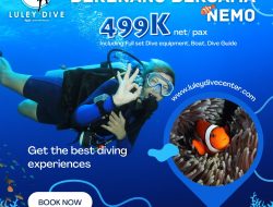 Harga Terjangkau, Luley Dive Center Tawarkan Promo Berenang Bersama Nemo