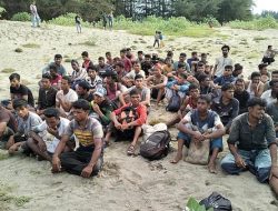 184 Pengungsi Rohingya Terdampar di Aceh