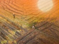Cuaca Lebih Panas Gegara Awal El Nino