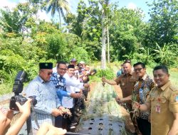 Demplot Pertanian Bawang Panen Raya, BI-Pemkot Manado Jadi Inisiator