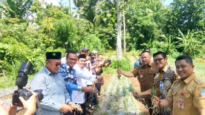 Demplot Pertanian Bawang Panen Raya, BI-Pemkot Manado Jadi Inisiator