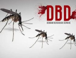Waspada Lonjakan DBD di Manado, Tercatat Januari Sudah 54 Kasus