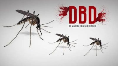 Waspada Lonjakan DBD di Manado, Tercatat Januari Sudah 54 Kasus