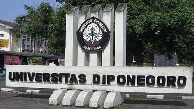 Buntut Mahasiswi PPDS Bunuh Diri, Prodi Anestesi Undip Dihentikan Sementara
