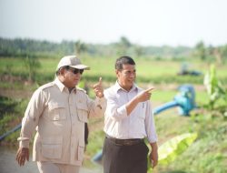 Mentan Amran Buktikan Kerja Nyata, Raih Pujian dari Wapres hingga Presiden