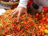 Harga Rica dan Tomat di Manado Melambung