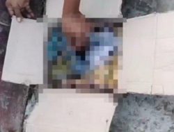 Heboh! Mayat Bayi Ditemukan dalam Kardus di Depan Masjid Al-Nur Ranomeeto