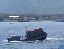Waspada! BMKG Prediksi Gelombang Tinggi di Selat Bali Bisa Capai 4 Meter