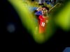 Semangat Membara! Pemain Persebaya Toni Firmansyah Siap Bela Merah Putih di Timnas U23
