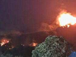 Kebakaran Hutan di Toba Diduga Dipicu Pembakaran Sampah Warga