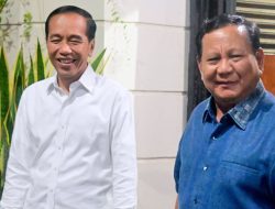 Presiden Jokowi Tegaskan Hanya Alergi Biasa, Bukan SJS – Kondisi Kini Pulih
