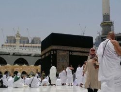 Visa Furoda Tak Kunjung Keluar, Amphuri Ingatkan Jemaah Waspada Penipuan Visa