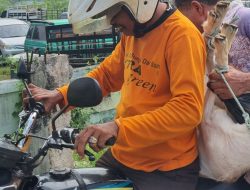 Kisah Ojek Kambing di Pasar Munggi, Trik Jitu agar Kambing Tak Mengamuk