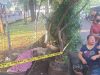 Naas! Bocah 5 Tahun Tewas Tersetrum Tiang PJU di Taman