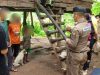 Dibesarkan Anjing, Bocah 8 Tahun Hanya Bisa Menggonggong