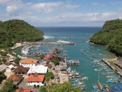 Harga Benih Lobster di Gunungkidul Anjlok Drastis, Nelayan Terancam Bangkrut!