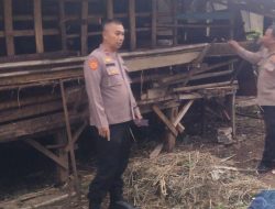 8 Kambing Milik Warga Depok Raib, Hanya Sisakan Jeroan!