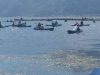 Danau Batur Bali Jadi Kuburan Ikan! 9 Ton Bangkai Ikan Berhasil Dikumpulkan
