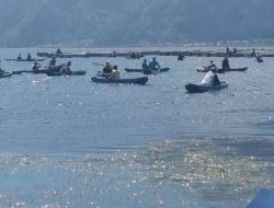 Danau Batur Bali Jadi Kuburan Ikan! 9 Ton Bangkai Ikan Berhasil Dikumpulkan