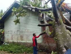 Cuaca Ekstrem, 23 Rumah Hancur Dihantam Angin di Aceh Besar