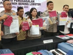 Polisi Gagalkan Penyelundupan 710.770 Benih Lobster ke Vietnam