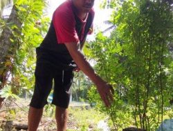 Kisah Pilu Warga Kulon Progo Menanti UGR Lahan JJLS yang Tak Kunjung Cair