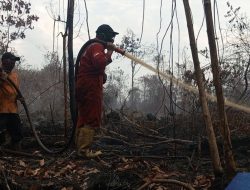 Menanti Tindakan Tegas Aparat terhadap Pelaku Karhutla di Riau