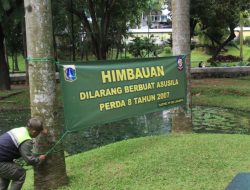 Taman Kota 24 Jam: Surga Malam Muda-Mudi atau Sarang Masalah? Simak Fakta Menariknya!