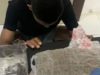 Gagal Beraksi! Mahasiswa Ternate Dibekuk Polisi Saat Ambil Paket Ganja