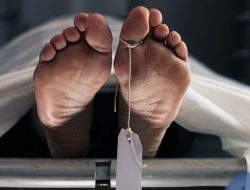 Nenek 64 Tahun Penderita Insomnia Ditemukan Tewas di Dalam Sumur