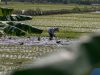 Kukar Siap Jadi ‘Lumbung Pangan’ IKN! Ini Strategi Jitu Mereka untuk Menyuplai IKN