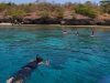 Tour Guide Senior di Labuan Bajo Tewas Saat Snorkeling, Diduga Serangan Jantung!