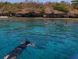 Tour Guide Senior di Labuan Bajo Tewas Saat Snorkeling, Diduga Serangan Jantung!